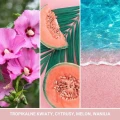 homeperfume_yankee_candle_signature_duża_Pink_Sands2.jpg