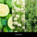 homeperfume_uzupełniacz_do_lampy_katalitycznej_millefiori_milano_500ml_cold_water3.jpg