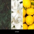 homeperfume_uzupełniacz_do_lampy_katalitycznej_millefiori_milano_500ml_oxygen3.jpg