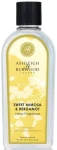 Olejek do lampy zapachowej Kolekcja Life in Bloom's - Sweet Mimosa & Bergamot  250ml