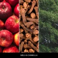 homeperfume_millefiori_dyfuzor_zapachowy_100ml_mela_canella3.jpg