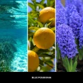 homeperfume_millefiori_dyfuzor_zapachowy_100ml_blue_posidonia3.jpg