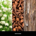 homeperfume_millefiori_dyfuzor_zapachowy_100ml_white_musk3.jpg