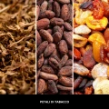 homeperfume_millefiori_refill_250ml_petali_di_tabacco2.jpg