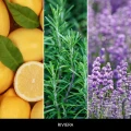 homeperfume_millefiori_dyfuzor_zapachowy_100ml_riviera3.jpg