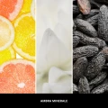 homeperfume_millefiori_dyfuzor_zapachowy_100ml_ambra_minerale3.jpg