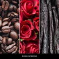 homeperfume_millefiori_refill_250ml_rose_espresso2.jpg