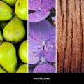homeperfume_millefiori_dyfuzor_zapachowy_zona_100ml_moon_flower3.jpg