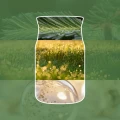 homeperfume_yankee_candle_signature_L_shimmering_christmas_tree2.jpg