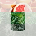 homeperfume_yankee_candle_signature_L_white_spruce_and_grapefruit2.jpg