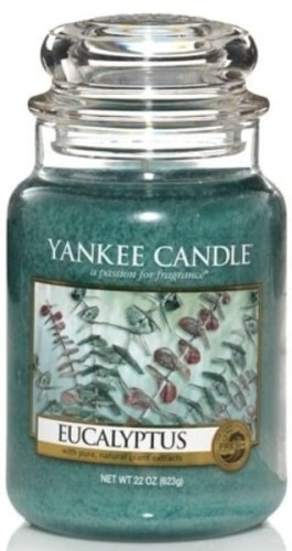 homeperfume_yc_big_jar_Eucalyptus2.jpg