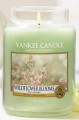 homeperfume_yc_big_jar_Wildflower_Blooms3.jpg