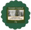 homeperfume_yc_wosk_evergreen_mist_sk.jpg