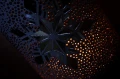 homeperfume_yc_kominek_snowy_gatherings3.jpg