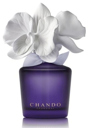 homeperfume_chando_dyfuzor_porcelanowy_100ml_mini_amethyst_love_purple_sk.jpg