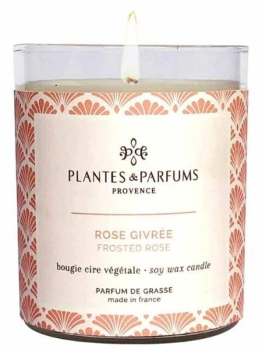 homeperfume_provence_fall-winter_świeca_180g_frosted-rose_sk.jpg