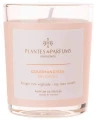 homeperfume_provence_świeca_zapachowa_75g_delicacies2sk2.jpg