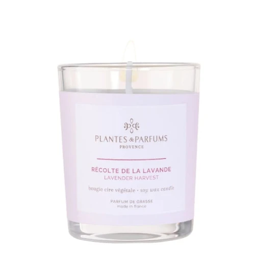 homeperfume_provence_świeca_zapachowa_75g_lavender_harvest_sk.jpg