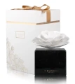 homeperfume_chando_marble_collection_BLACK_200ml_sensual_camelia3.jpg