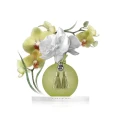 homeperfume_chando_dyfuzor_200ml_ORCHIDEA_ lemon_green_tea32.jpg