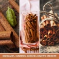 cinnamon-stick-swieca-duza.jpg