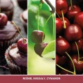 black-cherry-swieca-mini2.jpg