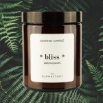 Świeca zapachowa perfumowana - The Olphactory - * bliss* - Green Leaves - 135g 
