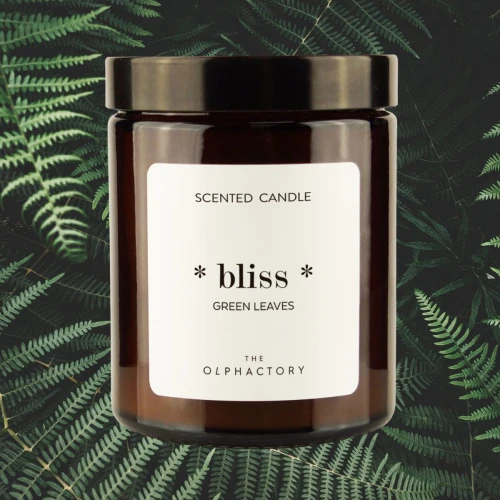 homeperfume_ambientair_the_olphactory_świeca_zapachowa_135g_Bliss_Green_Leaves4.jpg
